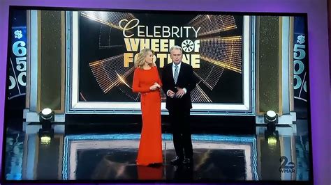 matt on celebrity wheel of fortune